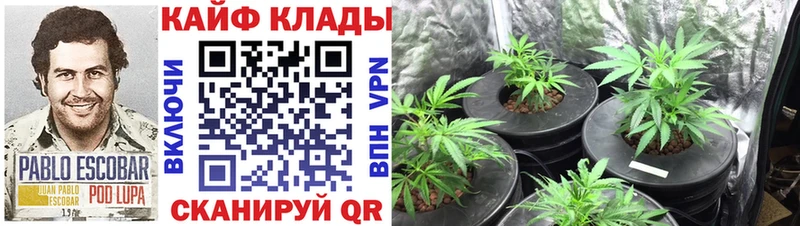 Где продают наркотики Волчанск ГАШ Марихуана МЕГА ССЫЛКА МЕФ COCAIN Галлюциногенные грибы