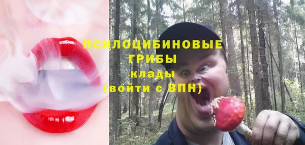 амф Елабуга