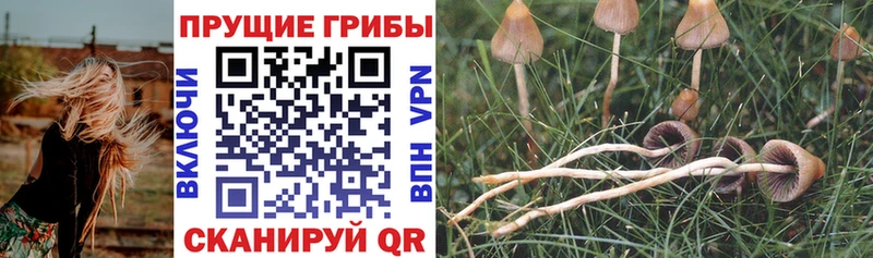 Галлюциногенные грибы мицелий  наркота  Волчанск 